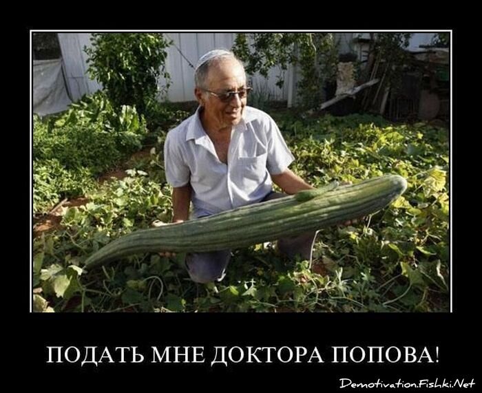 Смешной демотиватор от zubrilov за 18.03.2011 №71444
