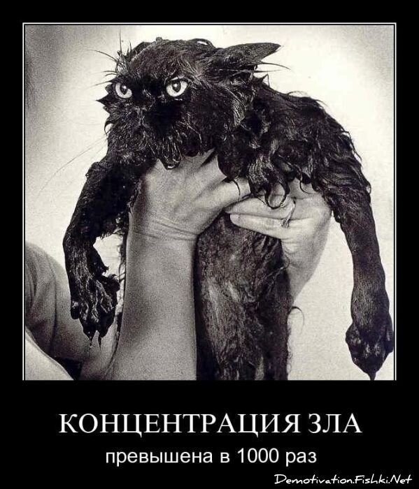 Смешной демотиватор от zubrilov за 18.03.2011 №71447