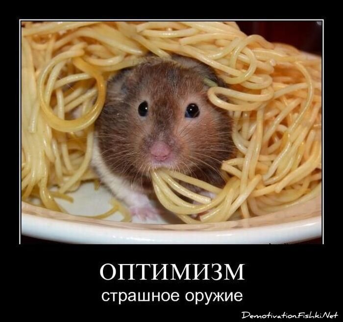 Смешной демотиватор от zubrilov за 18.03.2011 №71454