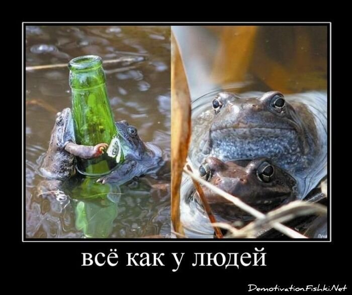 Смешной демотиватор от zubrilov за 18.03.2011 №71458