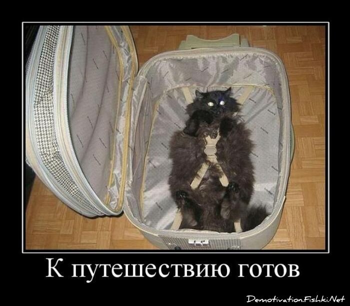 Смешной демотиватор от zubrilov за 18.03.2011 №71465