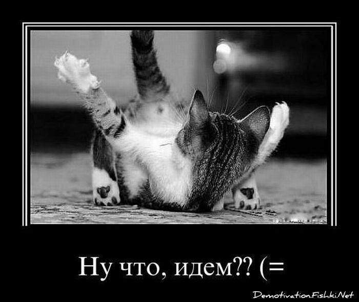 Смешной демотиватор от zubrilov за 18.03.2011 №71466