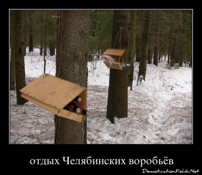 Смешной демотиватор от zubrilov за 18.03.2011 №71472