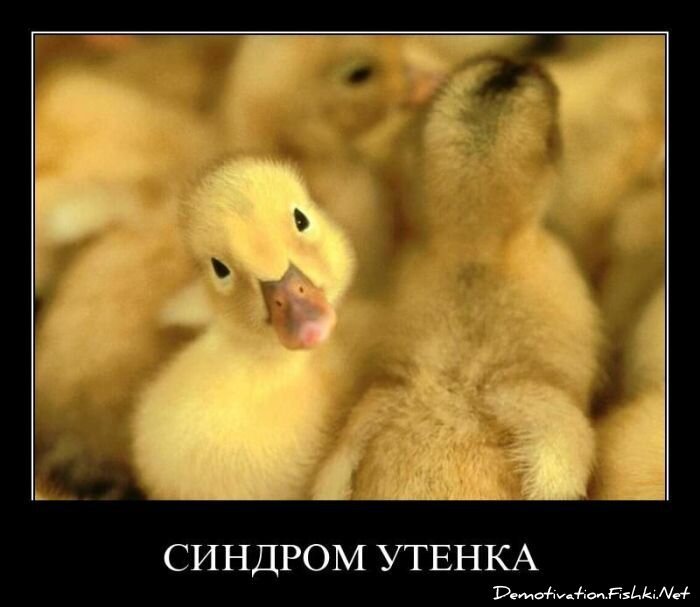 Смешной демотиватор от zubrilov за 18.03.2011 №71477