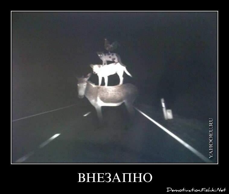 Смешной демотиватор от zubrilov за 18.03.2011 №71513