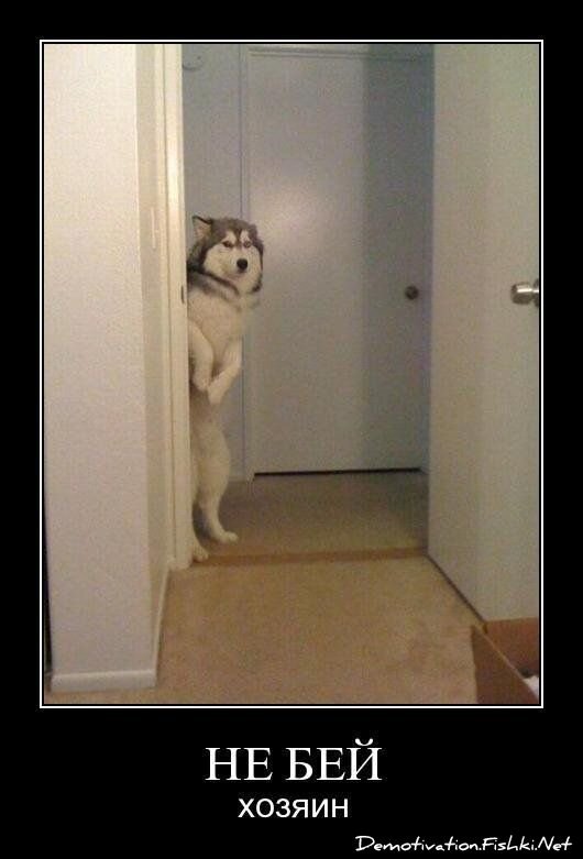 Смешной демотиватор от zubrilov за 18.03.2011 №71514
