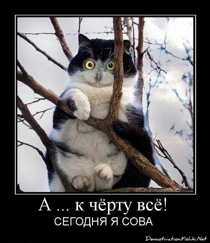 Смешной демотиватор от zubrilov за 18.03.2011 №71516