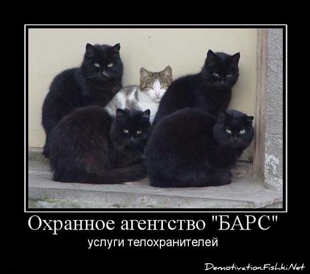 Смешной демотиватор от zubrilov за 18.03.2011 №71517
