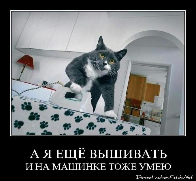 Смешной демотиватор от zubrilov за 18.03.2011 №71518