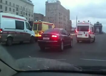 Подборка роликов