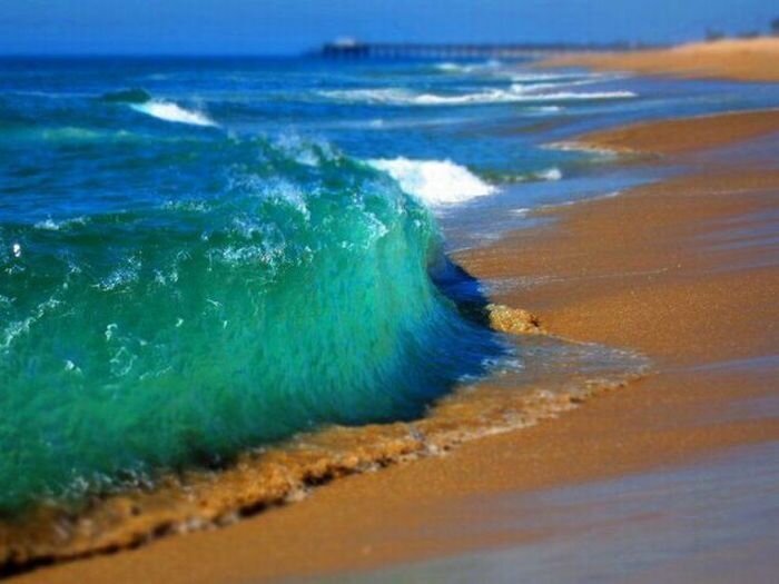 Прикольные фото и картинки от zubrilov за 18.03.2011 №71586