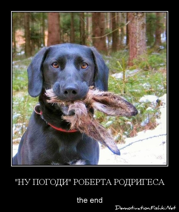 "ну погоди" роберта родригеса