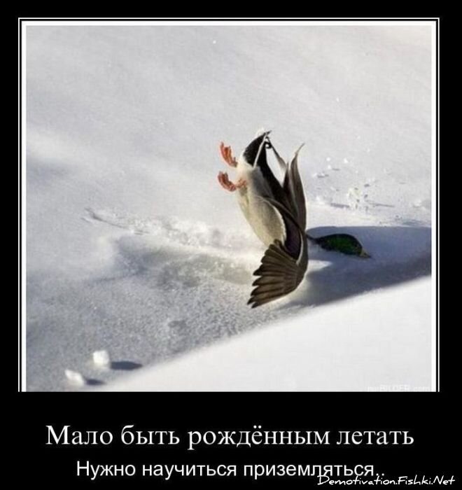 Демотиватор