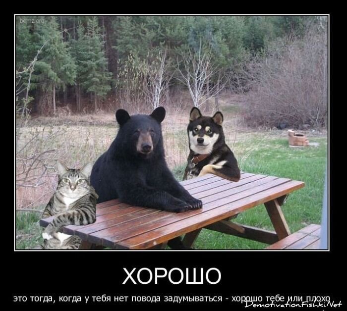 Смешной демотиватор от zubrilov за 23.03.2011 №71865
