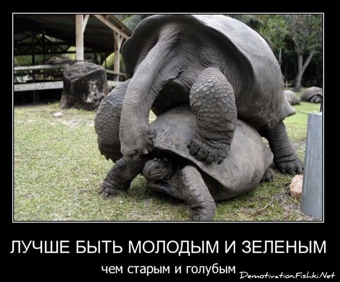 Смешной демотиватор от zubrilov за 23.03.2011 №71867