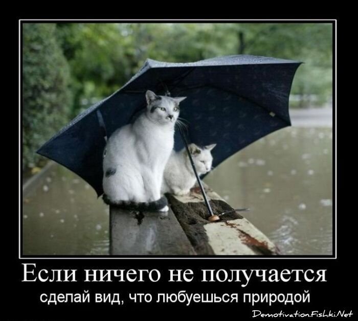 Смешной демотиватор от zubrilov за 23.03.2011 №71874