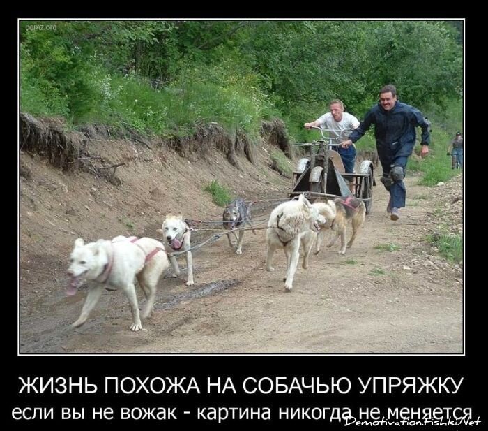 Смешной демотиватор от zubrilov за 23.03.2011 №71876