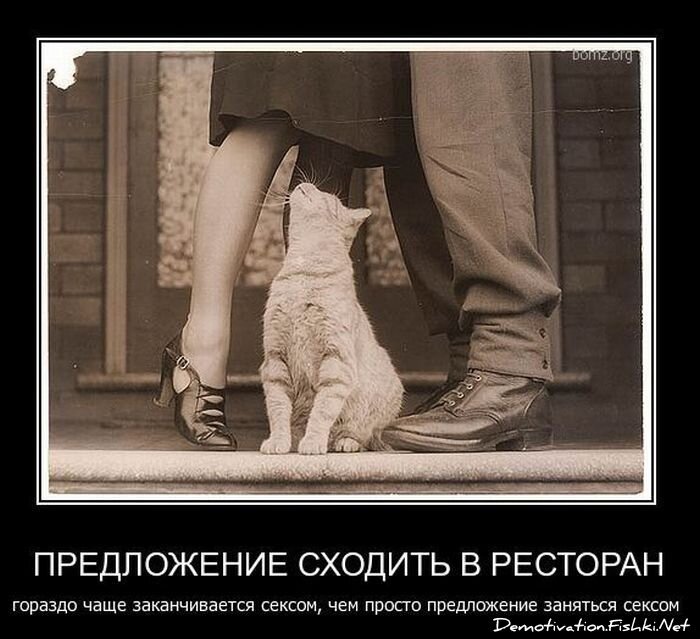 Смешной демотиватор от zubrilov за 23.03.2011 №71877