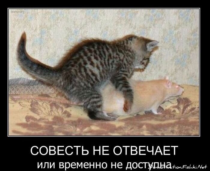 Смешной демотиватор от zubrilov за 23.03.2011 №71914