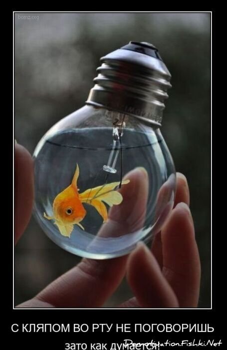 Смешной демотиватор от zubrilov за 23.03.2011 №71916