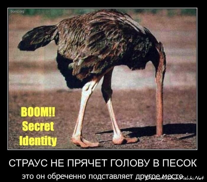 Смешной демотиватор от zubrilov за 23.03.2011 №71932