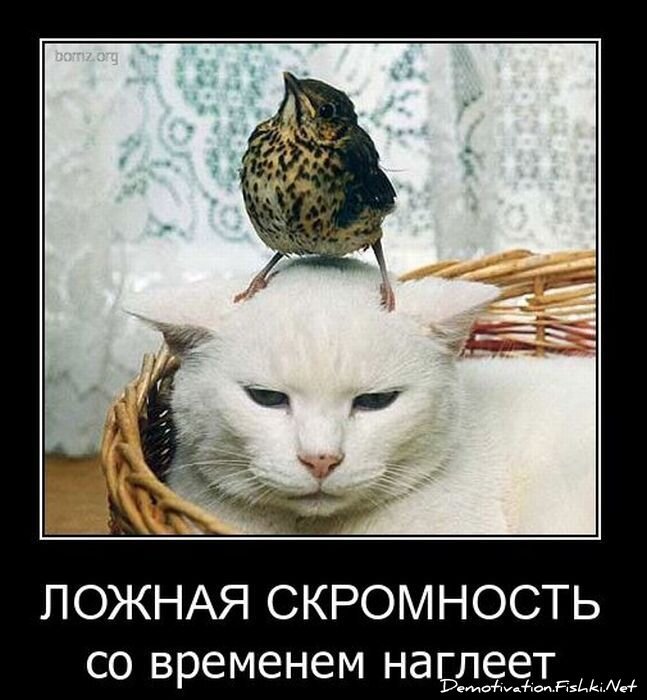 Смешной демотиватор от zubrilov за 23.03.2011 №71933