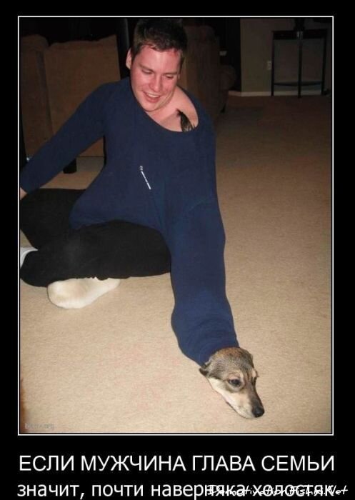 Смешной демотиватор от zubrilov за 23.03.2011 №71934