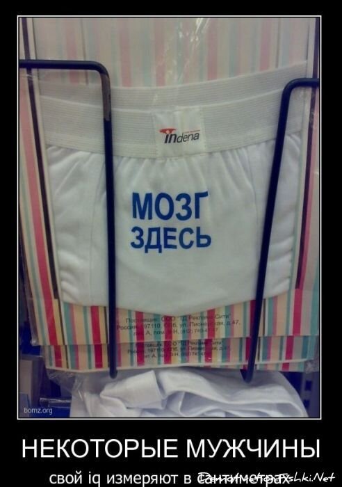 Смешной демотиватор от zubrilov за 23.03.2011 №71936