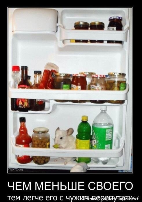 Смешной демотиватор от zubrilov за 23.03.2011 №71954