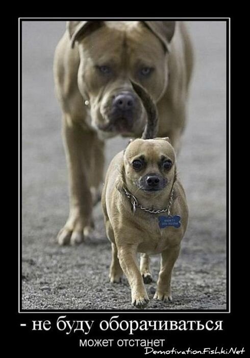 Смешной демотиватор от zubrilov за 23.03.2011 №71966