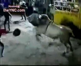 Подборка роликов