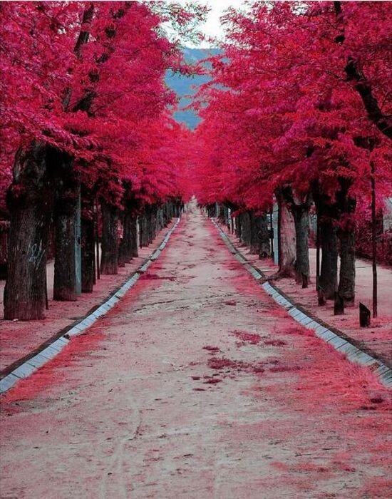 Прикольные фото и картинки от zubrilov за 24.03.2011 №72121