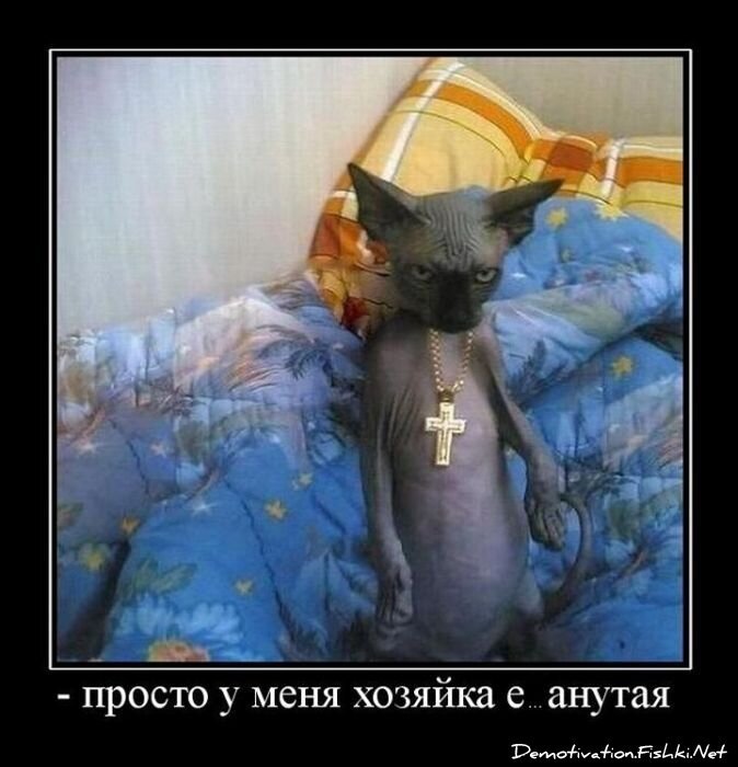 Демотиватор