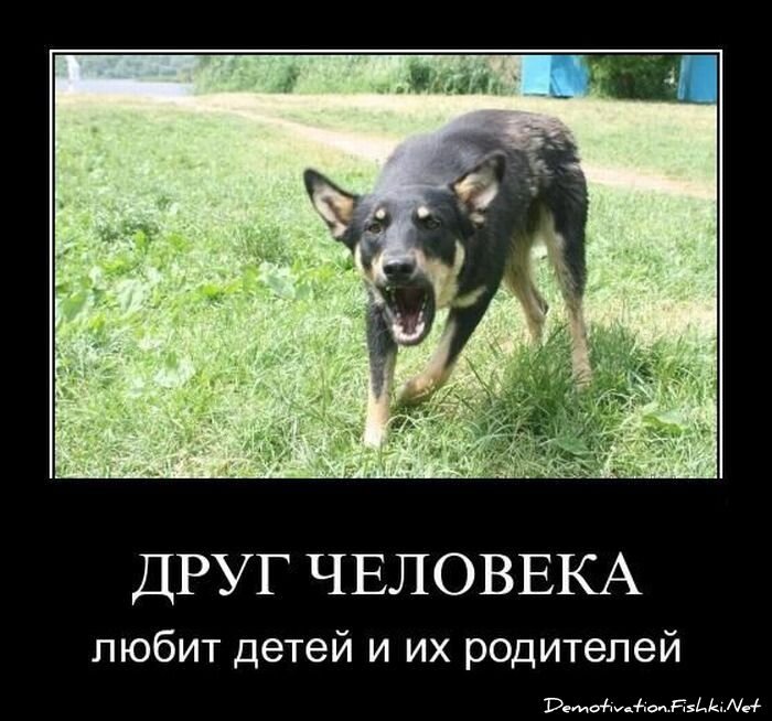Смешной демотиватор от zubrilov за 25.03.2011 №72280