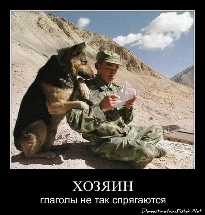 Смешной демотиватор от zubrilov за 25.03.2011 №72288