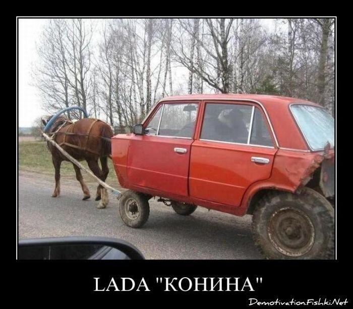 Демотиватор