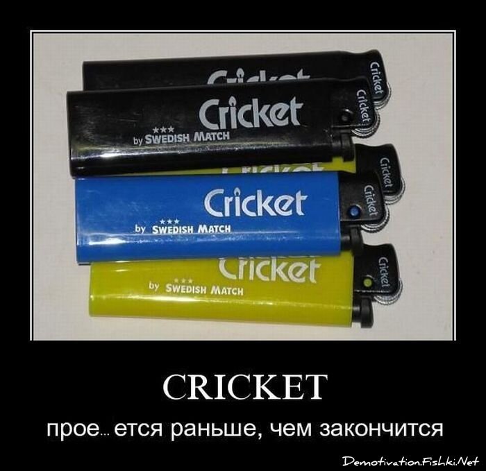 Смешной демотиватор от zubrilov за 25.03.2011 №72292