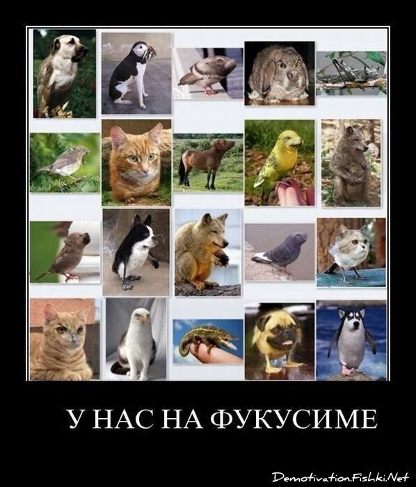 Смешной демотиватор от zubrilov за 25.03.2011 №72310