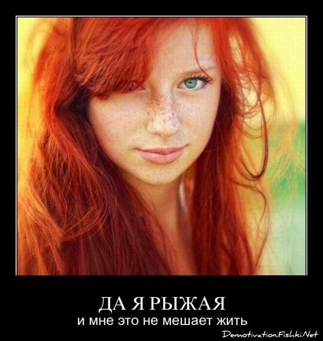 Демотиватор