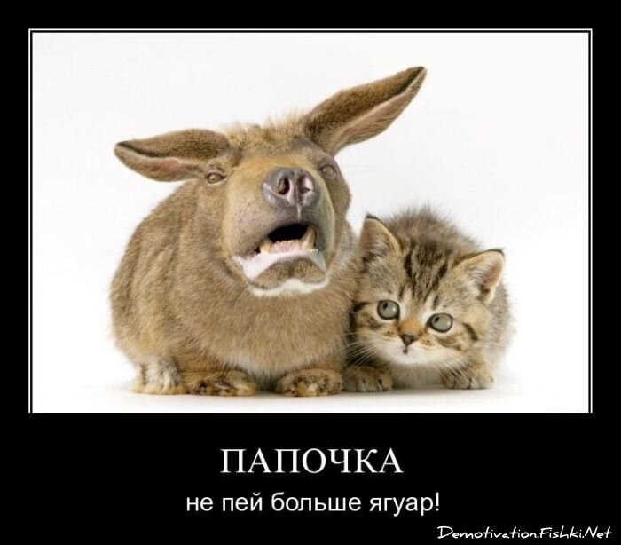 Смешной демотиватор от zubrilov за 25.03.2011 №72318