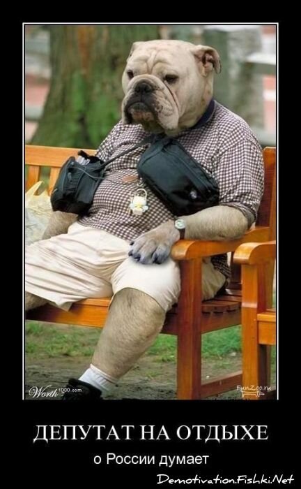 Смешной демотиватор от zubrilov за 25.03.2011 №72322