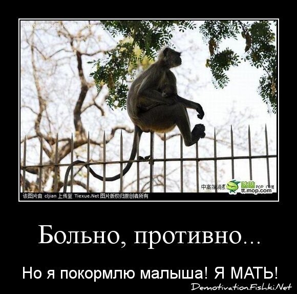 Больно, противно...