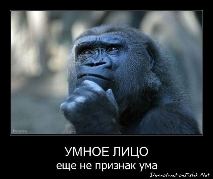 Смешной демотиватор от zubrilov за 30.03.2011 №72684