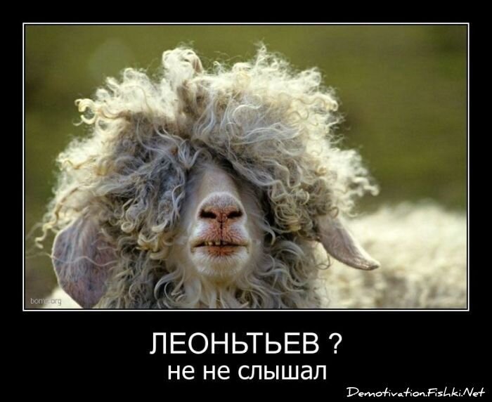 Смешной демотиватор от zubrilov за 30.03.2011 №72689