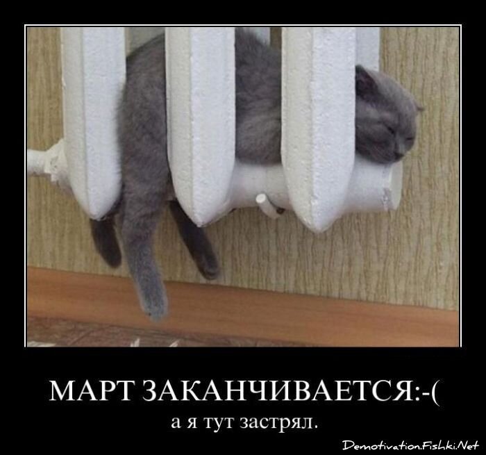 Смешной демотиватор от zubrilov за 30.03.2011 №72710