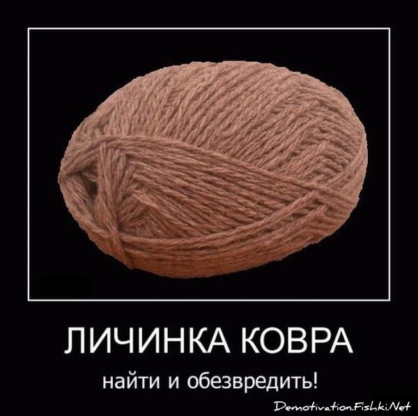 Смешной демотиватор от zubrilov за 30.03.2011 №72712