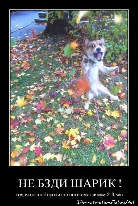 Смешной демотиватор от zubrilov за 30.03.2011 №72735