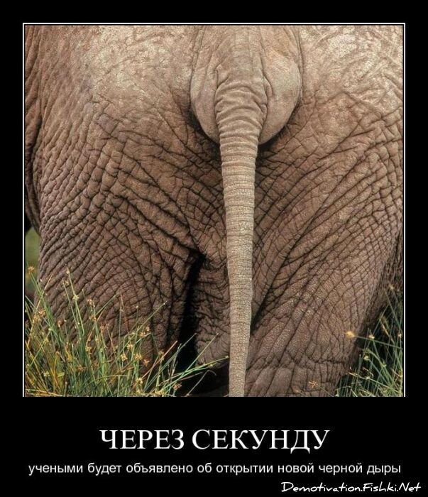 Смешной демотиватор от zubrilov за 30.03.2011 №72736