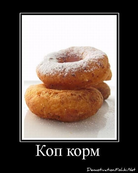 Смешной демотиватор от zubrilov за 30.03.2011 №72741