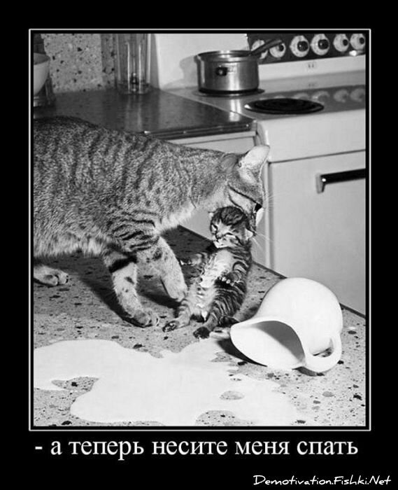 Смешной демотиватор от zubrilov за 30.03.2011 №72758